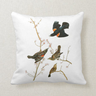 Coussin Oiseaux de John Audubon de merle de marais de
