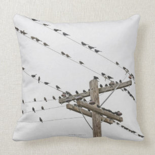 Coussin Oiseaux étés perché sur des fils