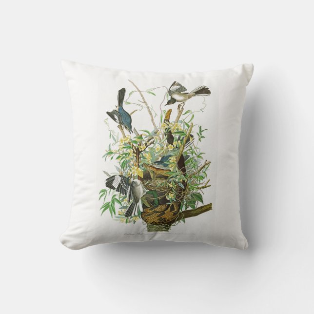 Coussin Oiseaux moqueurs de John James Audubon d'oiseau de (Recto)