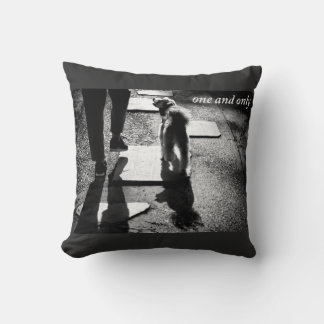 Coussin one and only 犬と散歩