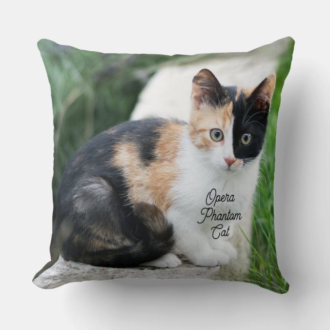Coussin Opera Phantom Chat (Recto)