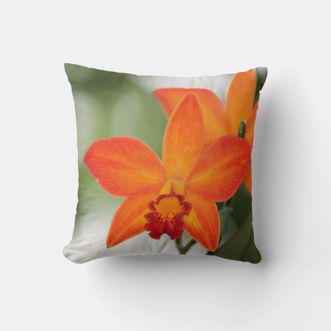 Coussin orange de coton d'orchidée (Recto)