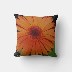 coussin orange presque solide, marguerite orange g