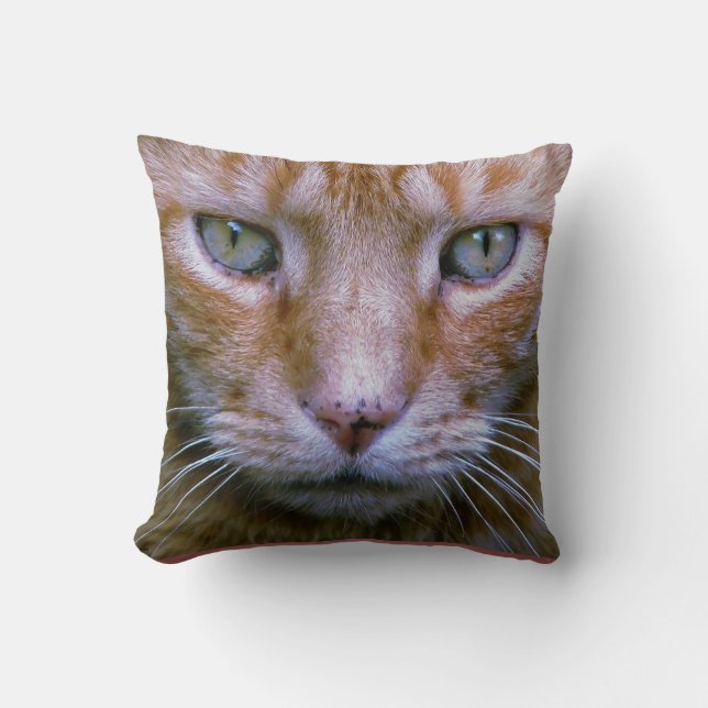 Coussin Orange Tabby (Recto)