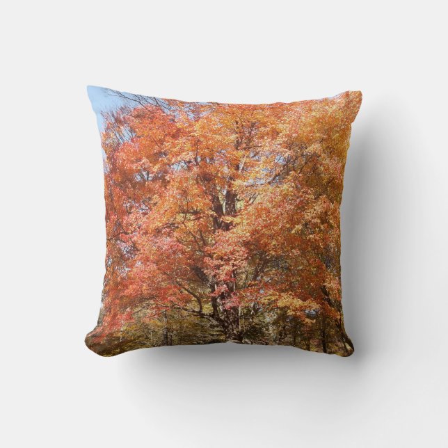 Coussin Orangers (Recto)