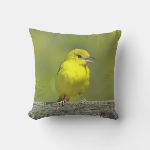 Coussin Orchard Oriole - Photo originale