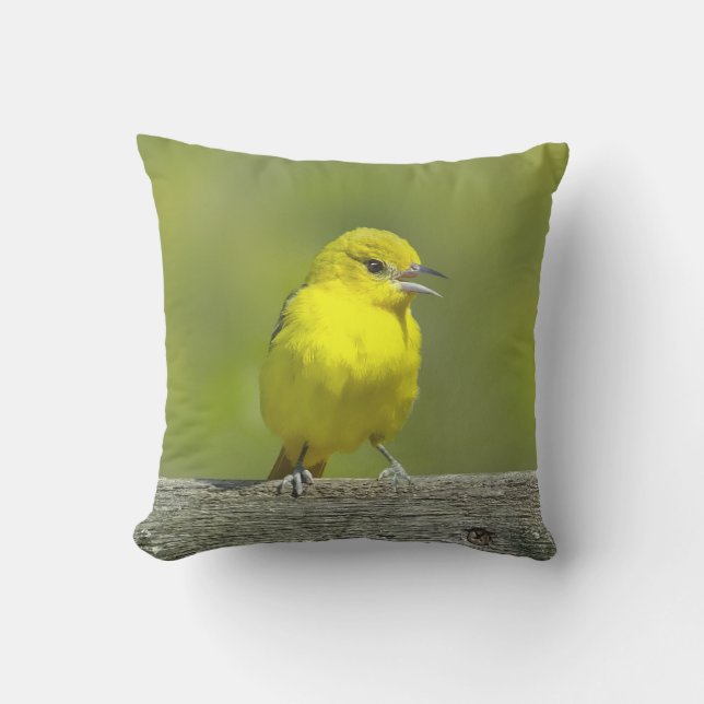 Coussin Orchard Oriole - Photo originale (Recto)