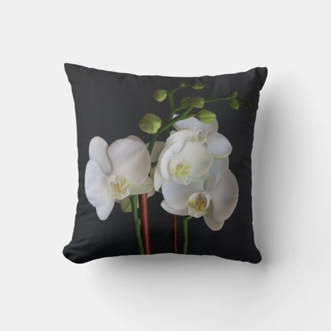 Coussin Orchidée blanche crémeuse (Recto)