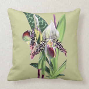 Coussin ORCHIDÉE (Paphiopedilum Argus)