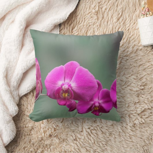 Coussin Orchidées roses (Couverture)