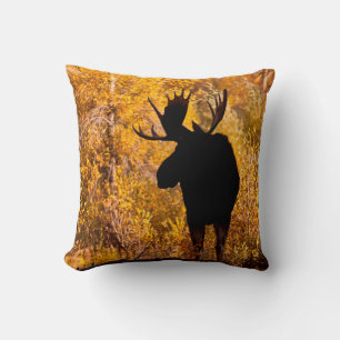 Coussin Orignal (Alces Alces) Mâle Dans Les Saules Dorés 2