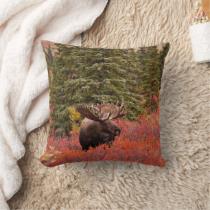 Coussin Orignal debout dans un bouleau nain rouge
