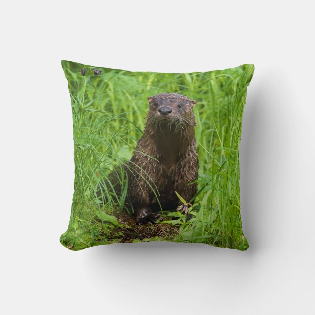 Coussin Otter (Recto)