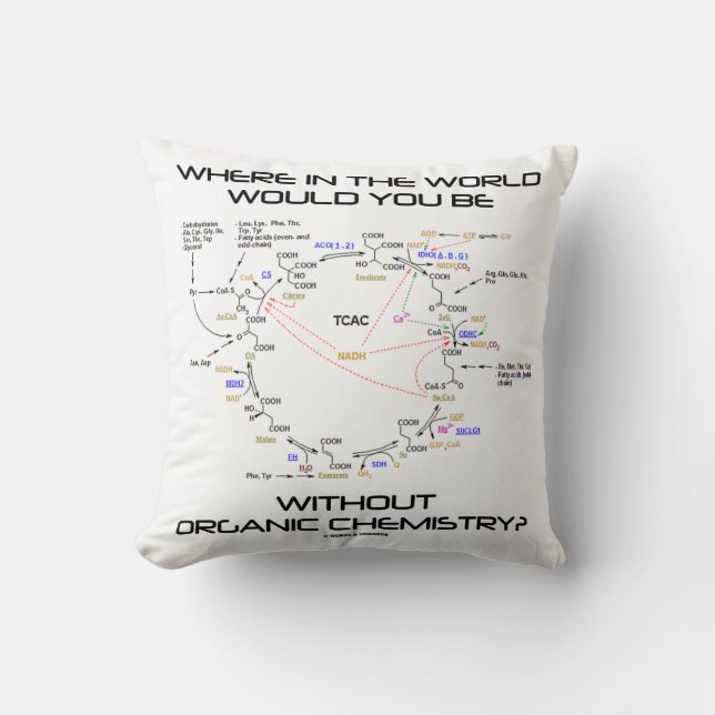 Coussin Où seriez-vous de la chimie organique ? (Recto)