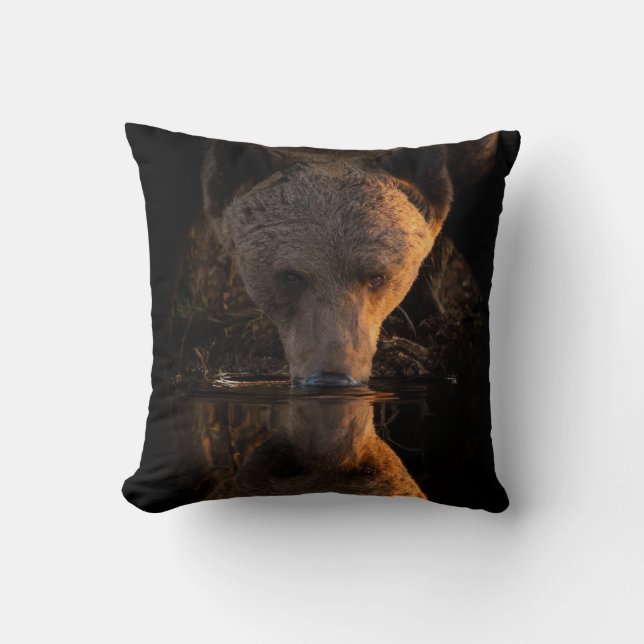 Coussin Ours Brown à la crique Jetez l'oreiller (Recto)
