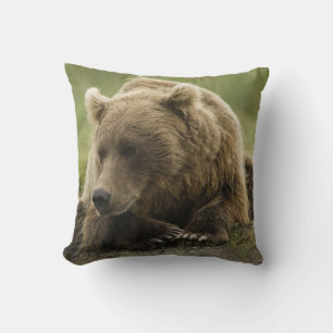 Coussin Ours brun, ou Ours grizzly côtier, Ursus