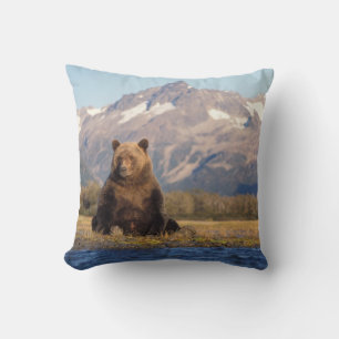 Coussin ours brun, Ursus arctos, grizzli, Ursus
