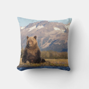 Coussin ours brun, Ursus arctos, grizzly, Ursus