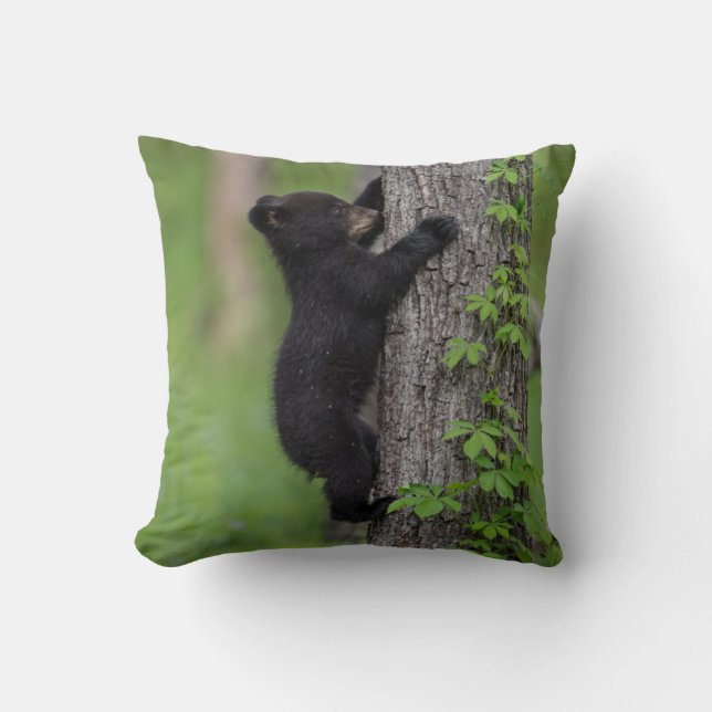 Coussin Ours jeune grimpant à un arbre (Recto)