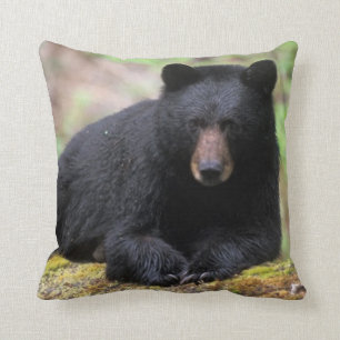 Coussin Ours noir sur une vieille bille de croissance dans