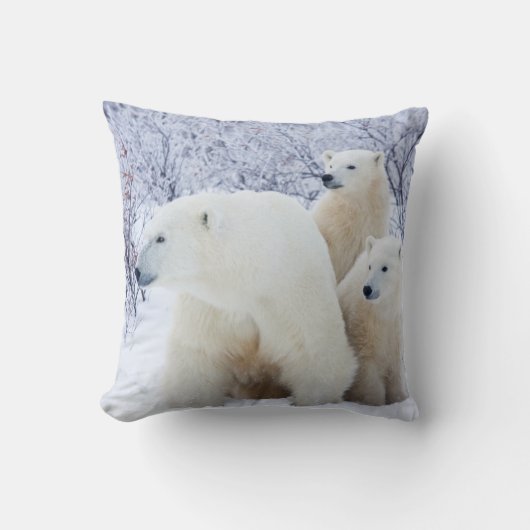 Coussin Ours polaires et deux oursons (Recto)