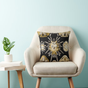 Coussin Oursins Vintage Dollars de Sable par Ernst Haeckel