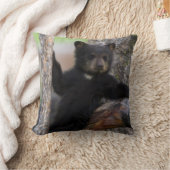 Coussin Ourson ours noir se reposant (Couverture)