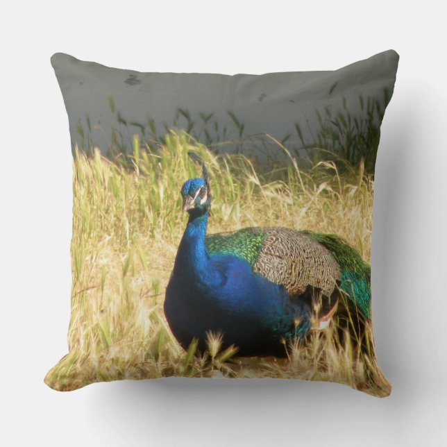 Coussin Pacock (Recto)