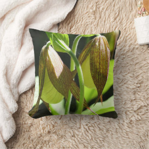 Coussin Paire de fleurs de chlipse blanche orchidée