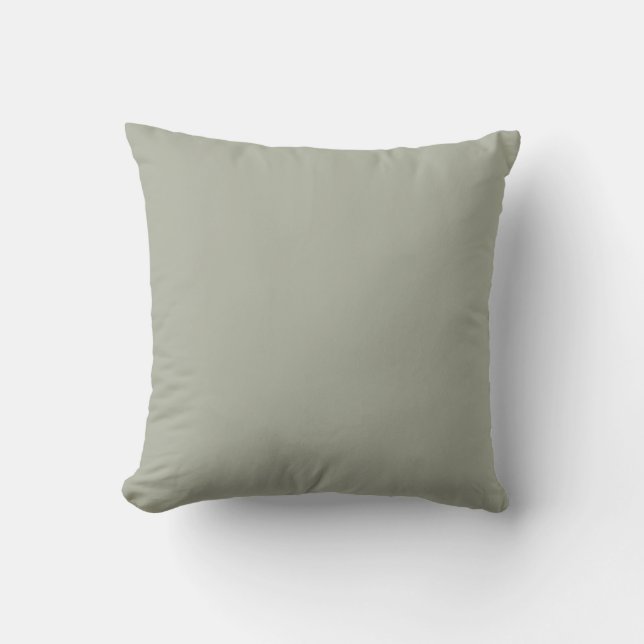 Coussin Paires de couleurs solides Sage Green SW 0066 (Recto)