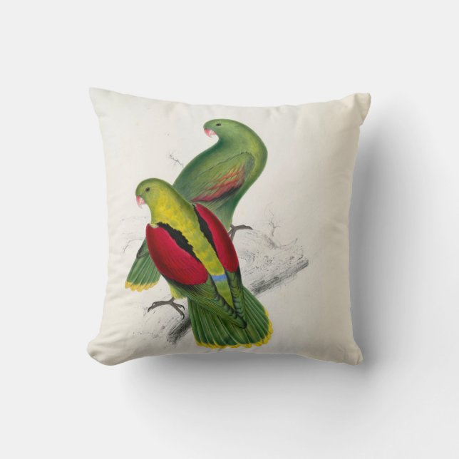 Coussin paires de parrakeet de #25-Crimson-winged (Recto)