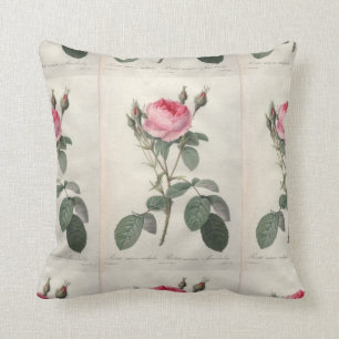 Coussin Pâlissez - la peinture vintage rose de roses