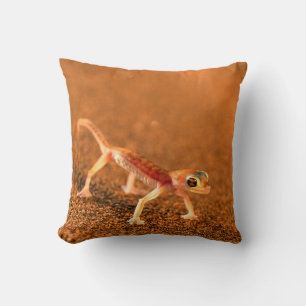 Coussin Palmatogecko sur dune de sable, Swakpomund, Erongo