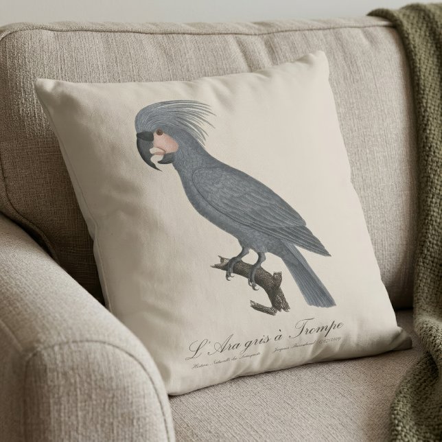 Coussin Palmiste noir, Probosciger aterrimus (Great Black Palm Cockatoo, Probosciger aterrimus. Throw Pillow)