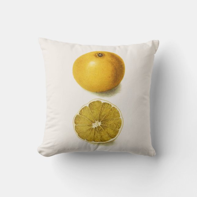 Coussin Pamplemousse frais (Recto)