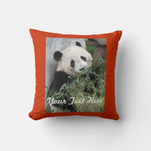 Coussin Panda Coussin, Solid Orange Back Carré