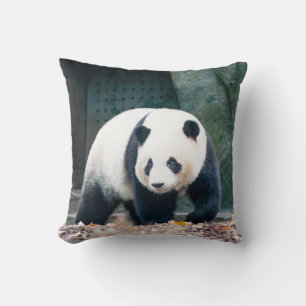 COUSSIN PANDA DE MARCHE DEVANT UN BÂTIMENT EN BÉTON