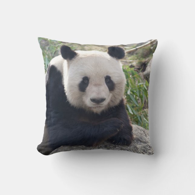 Coussin Panda Géant Amical (Recto)