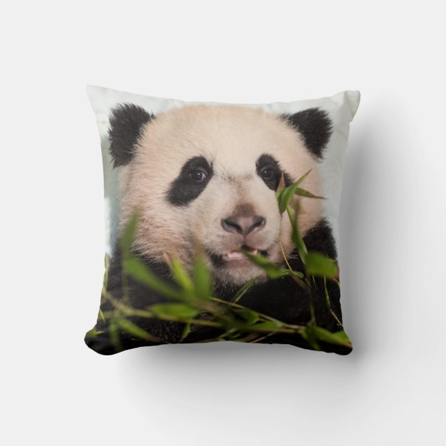 Coussin Panda géant penché contre le mur (Recto)