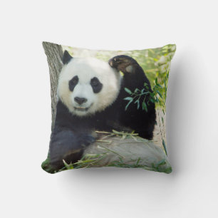 Coussin Panda géant se reposant contre l'arbre
