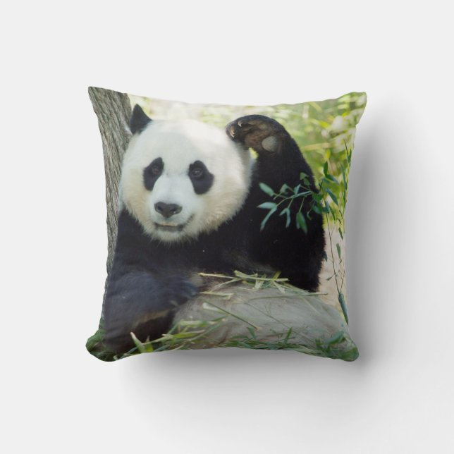 Coussin Panda géant se reposant contre l'arbre (Recto)