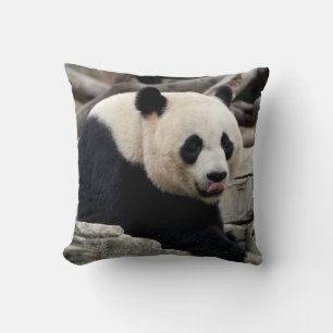 Coussin Panda géant sur des roches