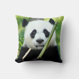Coussin Panda géant tenant du bambou