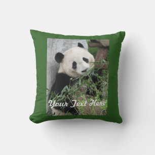 Coussin Panda mignonne, dossier vert solide, nom, Carré