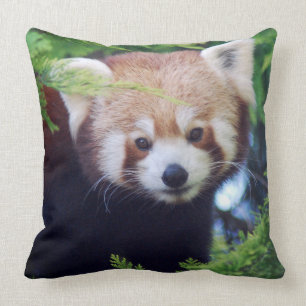 Coussin Panda rouge
