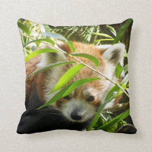 Coussin Panda rouge 415P2