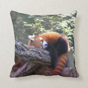 Coussin Panda rouge de sommeil