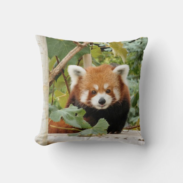 Coussin Panda roux (Recto)