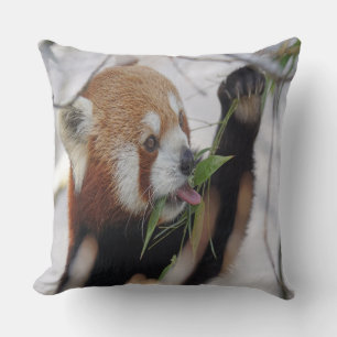Coussin Panda roux affamé