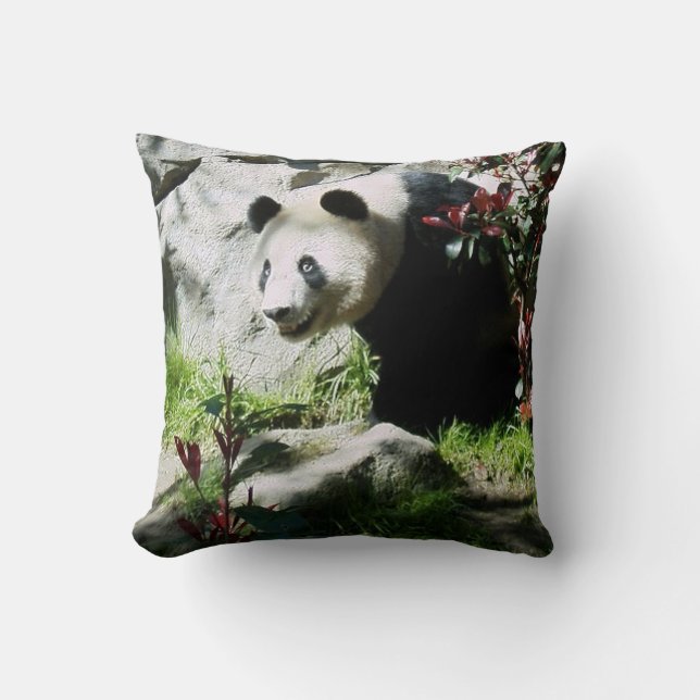 Coussin Panda Smile (Recto)